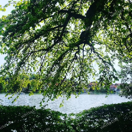 Stadtsee