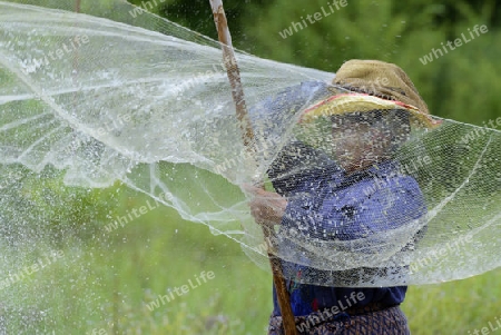 Eine Frau beim Fischen in einem Fluss in der Provinz Amnat Charoen nordwestlich von Ubon Ratchathani im nordosten von Thailand in Suedostasien.