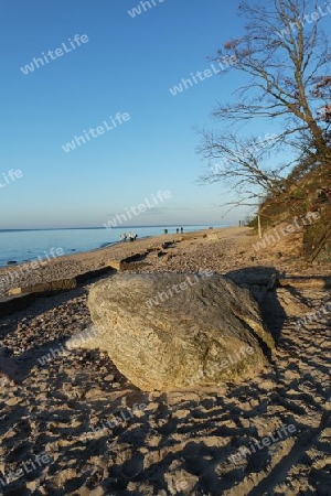 Herbst im Nationalpark Wolin