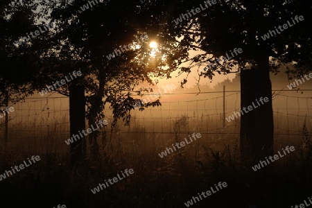 Sonnenaufgang