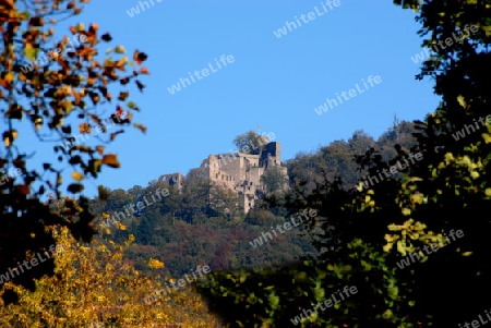 Schloss Hohenbaden im Schwarzwald