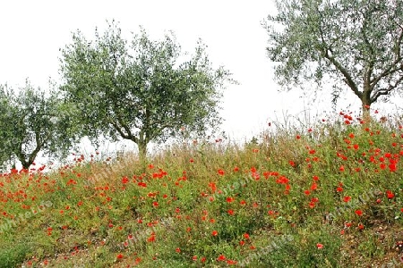 Natur Italien,