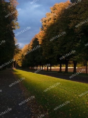 Herbst Allee 1