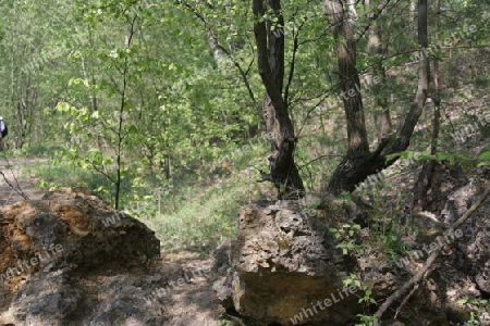 Naturschutzgebiet