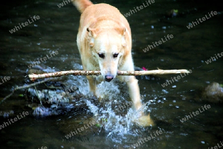 Wasserspiele