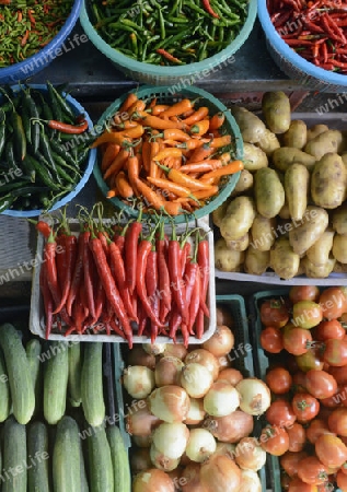 Frisches Gemuese auf einem Markt in der Hauptstadt Bangkok von Thailand in Suedostasien.