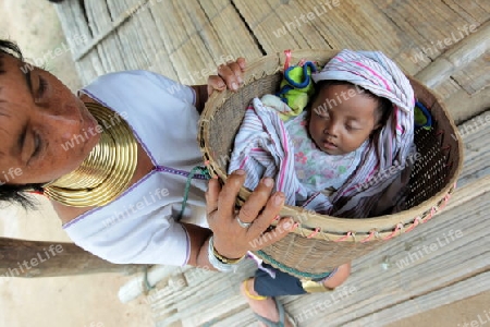 Eine Traditionell gekleidete Langhals Frau eines Paudang Stammes aus Burma lebt in einem Dorf noerdlich von Chiang Mai in Nord Thailand.