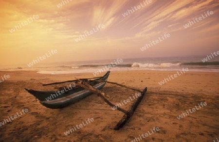 Asien, Indischer Ozean, Sri Lanka,
Ein traditionelles Fischerboot mit Fischern im Kuestendorf Negombo an der Westkueste von Sri Lanka. (URS FLUEELER)






