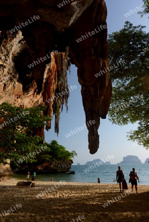 The Hat Phra Nang Beach at Railay near Ao Nang outside of the City of Krabi on the Andaman Sea in the south of Thailand. 