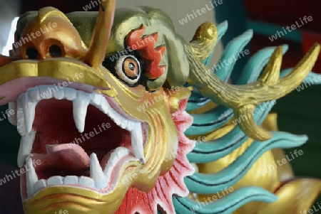 Ein Drachen im Chinesischer Tempel bei der Saphan Taksin Bruecke am Mae Nam Chao Phraya River in der Hauptstadt Bangkok von Thailand in Suedostasien.