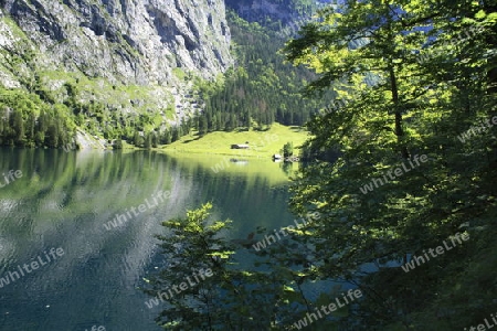 Obersee, Fischunkel- Alm