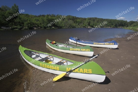 Kanu Fahren auf den Fluss Gauja in Sigulad oestlich von Riga der Hauptstadt von Lettland im Baltikum in Osteuropa.  