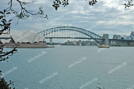 Sydney Harbour