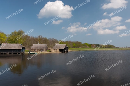 Hafen bei Prerow auf dem Darss, Nationalpark Vorpommersche Boddenlandschaft, Deutschland