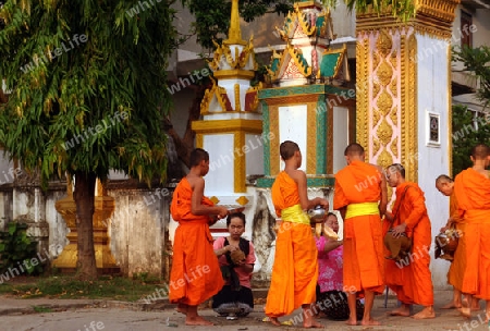 Moenche auf ihrem Rundgang am fruehem Morgen vor dem Tempel Wat Sainyaphum in der Stadt Savannahet in zentral Laos an der Grenze zu Thailand in Suedostasien.