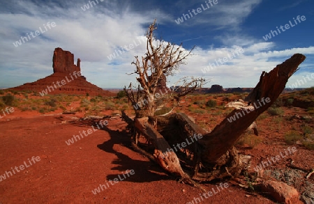 Monument Valley Nat. Monument X