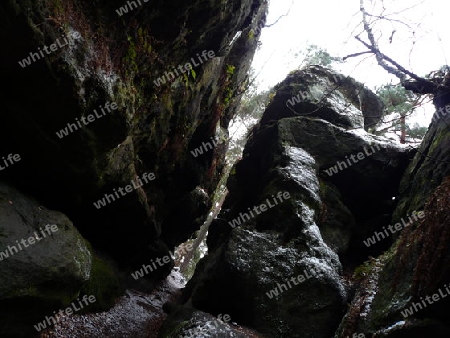 Felsen