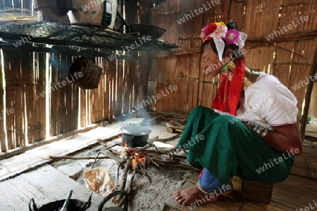 Eine Traditionell gekleidete Langhals Frau eines Paudang Stammes aus Burma lebt in einem Dorf noerdlich von Chiang Mai in Nord Thailand.  