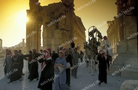 Ein traditionelles Hochzeitsfest in den Ruinen von Palmyra in der Wueste Faydat in Syrien im Mittleren Osten in Arabien.