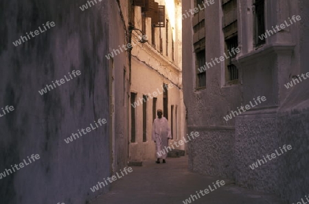 Die Altstadt von Stone Town  oder Zanzibar Town der Hauptstadt der Insel Sansibar im Indischen Ozean in Tansania in Ostafrika