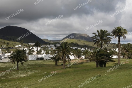 The volcanic Hills near the Village of Haria on the Island of Lanzarote on the Canary Islands of Spain in the Atlantic Ocean.
