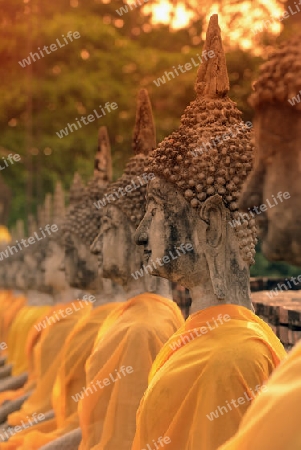 The Wat Yai Chai Mongkol Temple in City of Ayutthaya in the north of Bangkok in Thailand, Southeastasia.