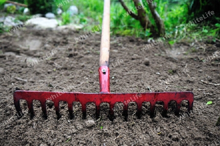 Roter Gartenrechen