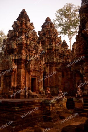 The Tempel Ruin of  Banteay Srei about 32 Km north of the Temple City of Angkor near the City of Siem Riep in the west of Cambodia.