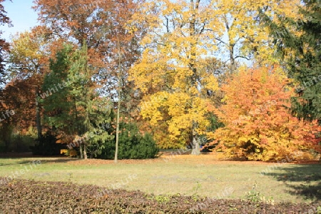 Bunter Herbst