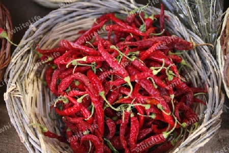 chily on the market in the old Town of Siracusa in Sicily in south Italy in Europe.