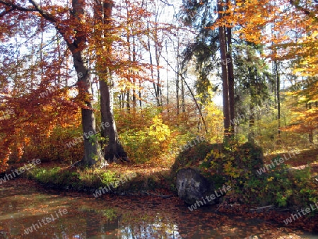 Au in Englischer Garten