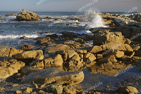 st?rmische See an den Felsen von Bird Island, Lamberts Bay, Western Cape, Westkap, S?dafrika, Afrika