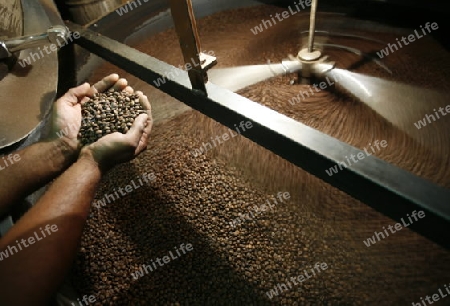 a cafe production in the old Town of Catania in Sicily in south Italy in Europe.