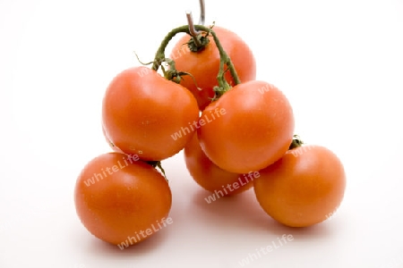 Frische Tomaten