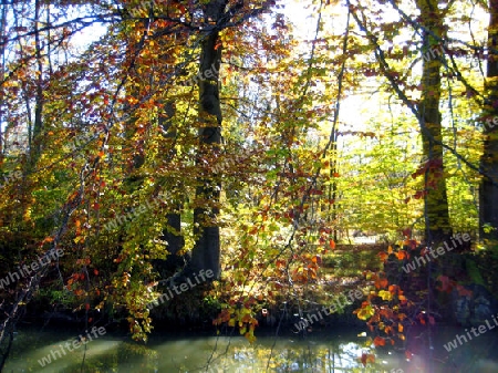 Herbst in Englischer Garten