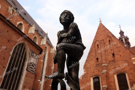 Eine Statue bei der Marienkirche in der Altstadt von Krakau im sueden von Polen.