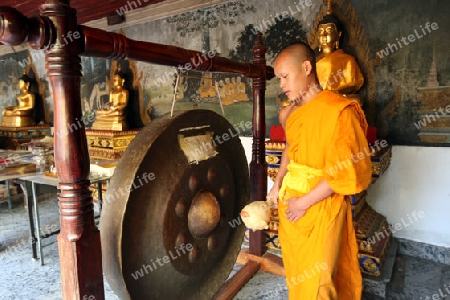 Ein Moench in der Tempel Anlage des Wat Phra That Doi Suthep bei Chiang Mai in der Provinz Chiang Mai im Norden von Thailand in Suedostasien.