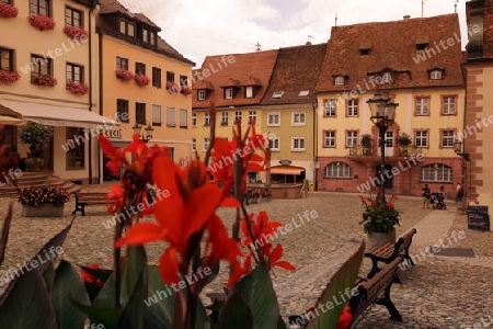  the village of Endingen im Kaiserstuhl in the Blackforest in the south of Germany in Europe.