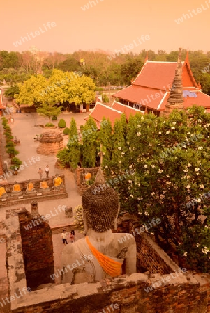 The Wat Yai Chai Mongkol Temple in City of Ayutthaya in the north of Bangkok in Thailand, Southeastasia.