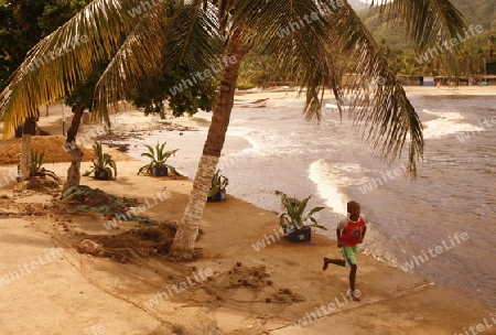 Suedamerika, Karibik, Venezuela, Nord, Chuao, National Park Hanri Pittier, Dorf, Cacao Dorf, Kakao Dorf, Kolonial,  Tropisch, Junge, Knabe, Beach, Strand, Rennen, Palme, Idyllisch,