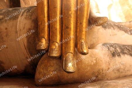 Die Buddha Figur  im Wat Si Chum Tempel in der Tempelanlage von Alt-Sukhothai in der Provinz Sukhothai im Norden von Thailand in Suedostasien.