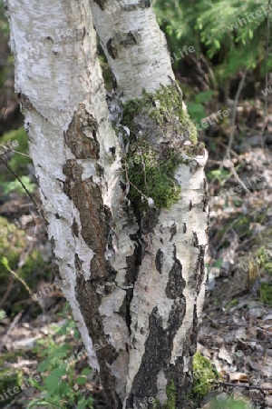 Naturschutzgebiet