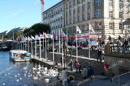 Am hambuger Rathaus