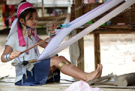 Eine Traditionell gekleidete Langhals Frau eines Paudang Stammes aus Burma lebt in einem Dorf noerdlich von Chiang Mai in Nord Thailand.