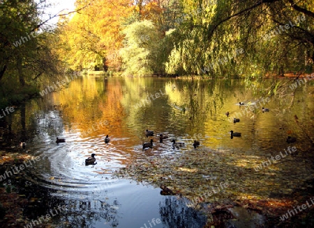 Englischer Garten M?nchen