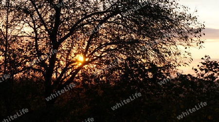 Sonnenuntergang im Harz