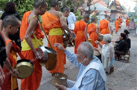 Moenche am fruehen Morgen beim einsammeln von Reis in der Altstadt von Luang Prabang in Zentrallaos von Laos in Suedostasien