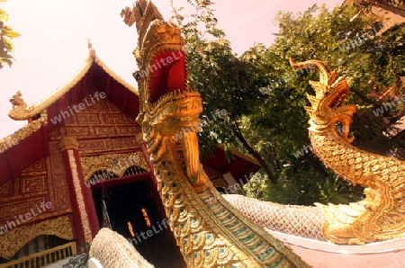 Der Wat Phra Kaew in der Altstadt von Chiang Rai in der Provinz chiang Rai im Norden von Thailand in Suedostasien.