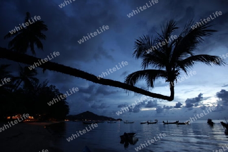 Der Strand  von Hat Sai Ri auf der Insel Ko Tao im Golf von Thailand im Suedwesten von Thailand in Suedostasien. 