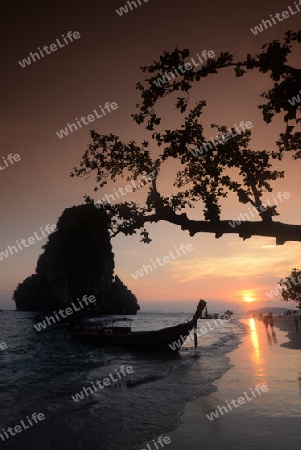 The Hat Phra Nang Beach at Railay near Ao Nang outside of the City of Krabi on the Andaman Sea in the south of Thailand. 